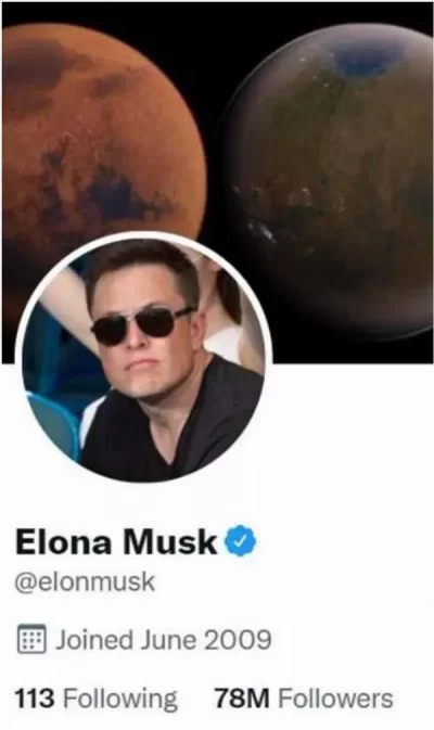 Why Elon Musk Changed His Name to 'Elona' on Twitter