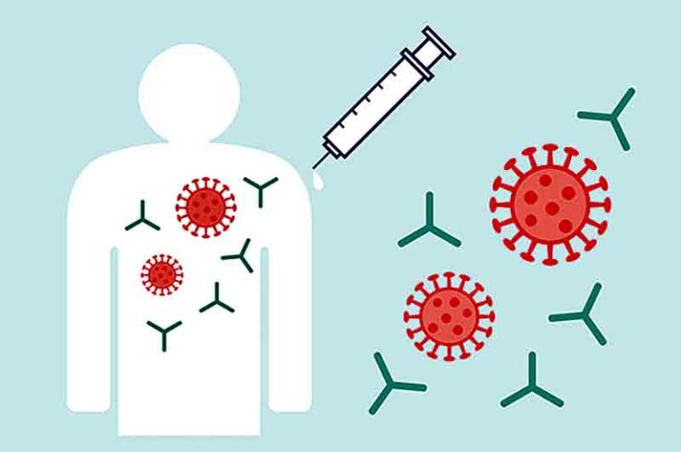 how-long-do-covid-antibodies-last-nagaland-post