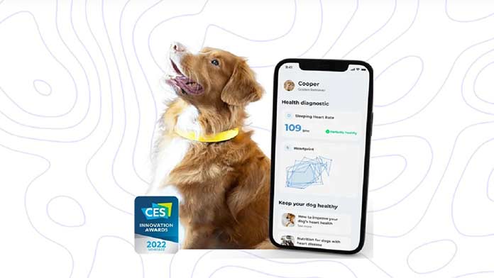 https://nagalandpost.com/wp-content/uploads/2023/01/Smart-dog-collar-to.jpg