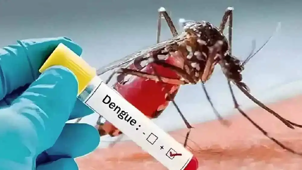 Dengue can seriously affect your brain, nervous system: Doctors | Nagaland  Post