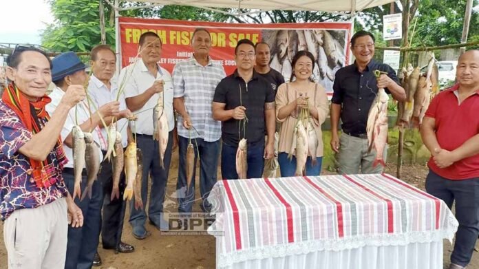 Local fresh fish sale launched