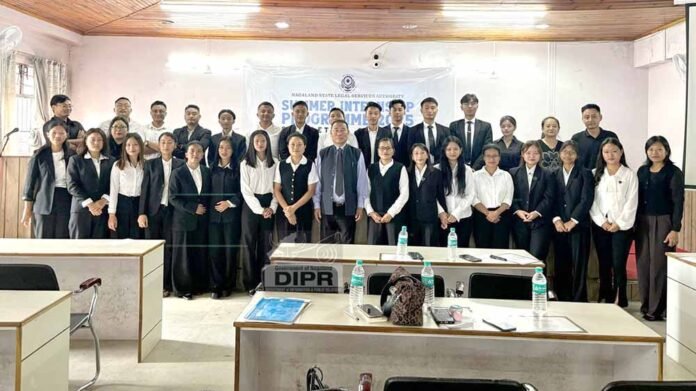 NSLSA summer internship