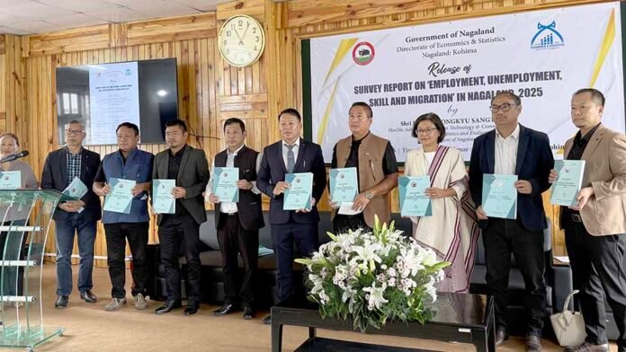 Nagaland records