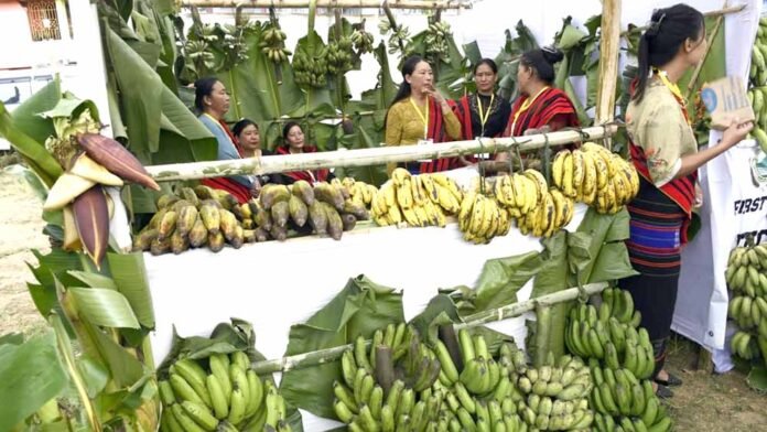 Banana Festival concludes