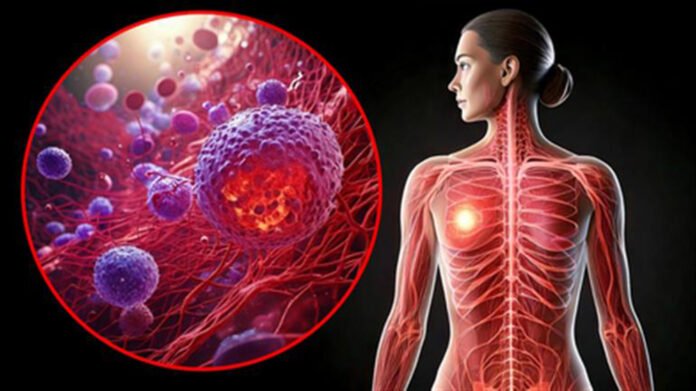 Study warns high-fat keto