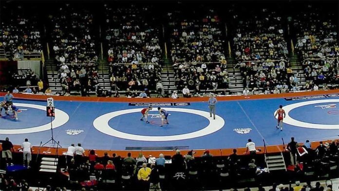 WFI suspends wrestler Sanjeev