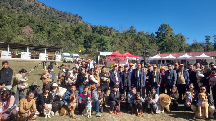 Hornbill Festival features