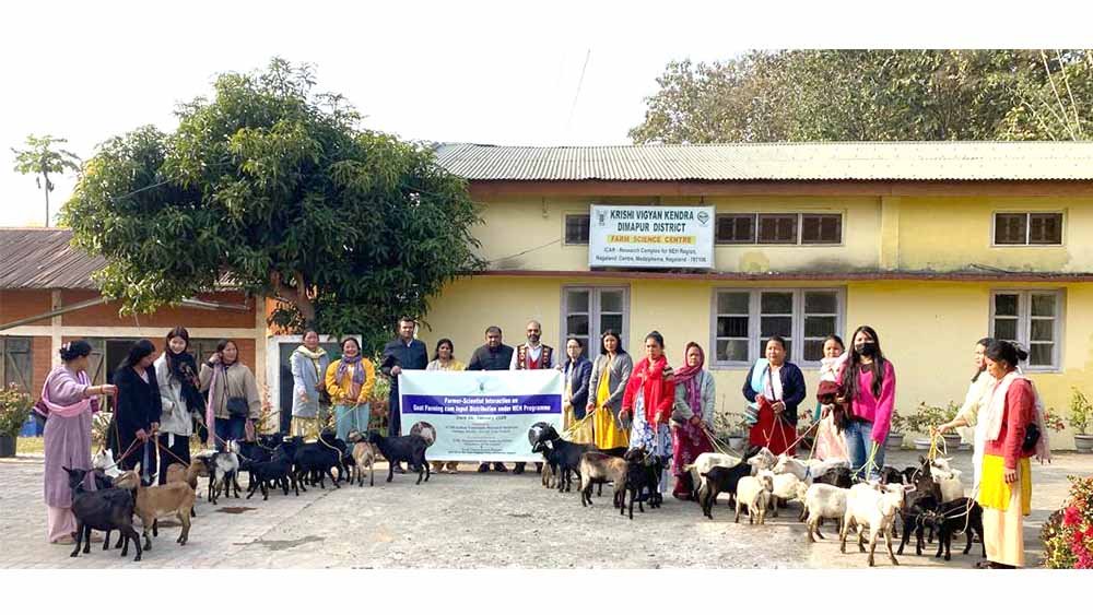 Nagaland: Chümoukedima women farmers benefit from goat distribution