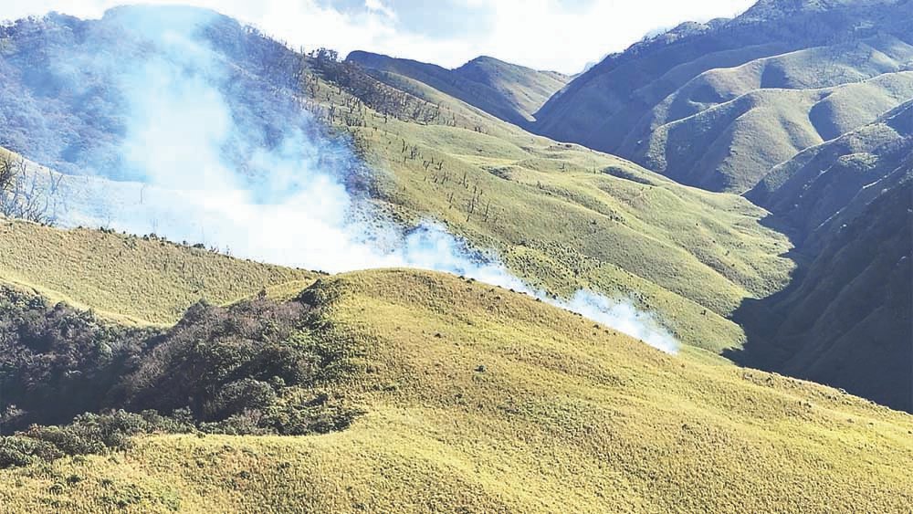Nagaland: DC Kohima sets up team for Dzükou fire
