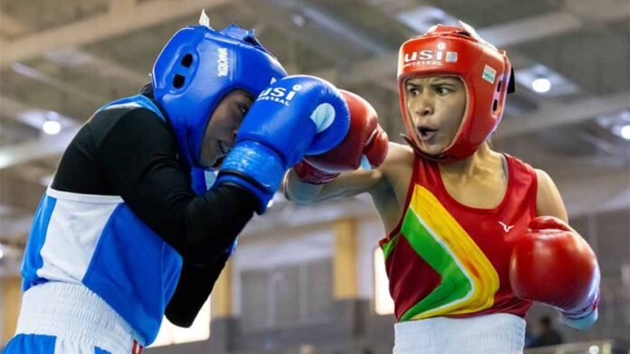 Senior Boxing National