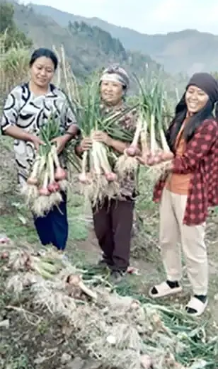 Porba farmer pioneers onion cultivation, inspires community