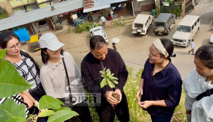 Lok Sabha MP, S. Supongmeren Jamir and KDLSA officials planting tree sapling during World Environment Day_result