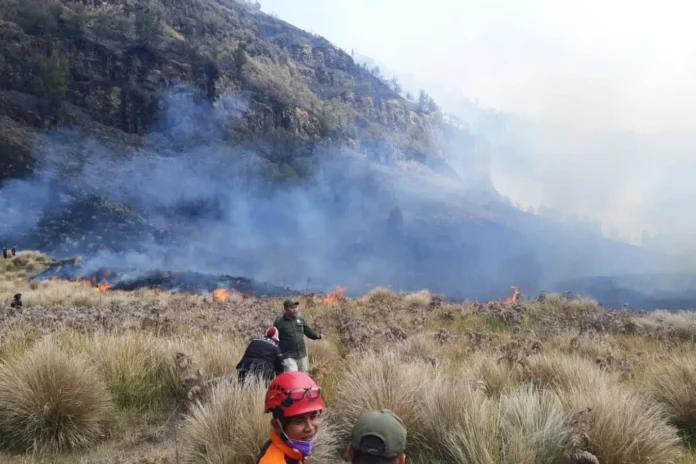 fire_result