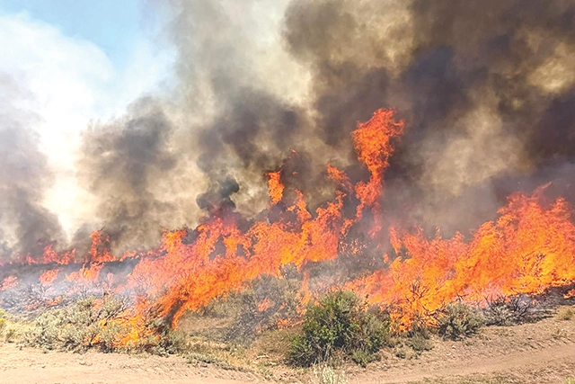 Helicopter battling Utah wildfire crashes as blaze kills dozer operator